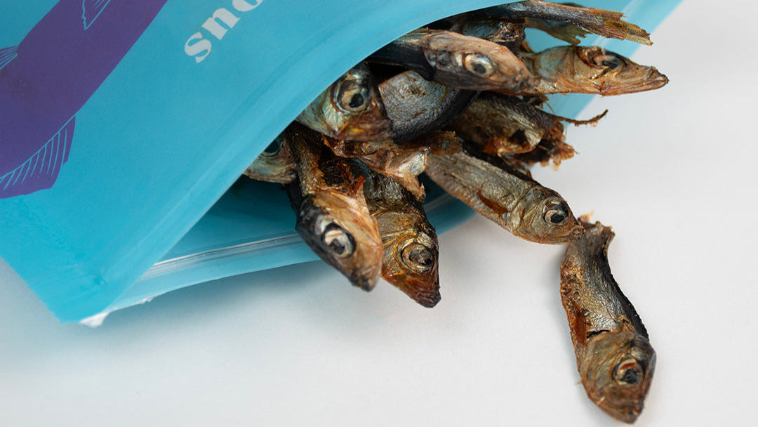 Dried Sea Sprats