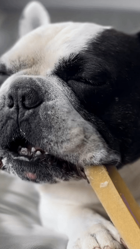 The Chewing Trilogy