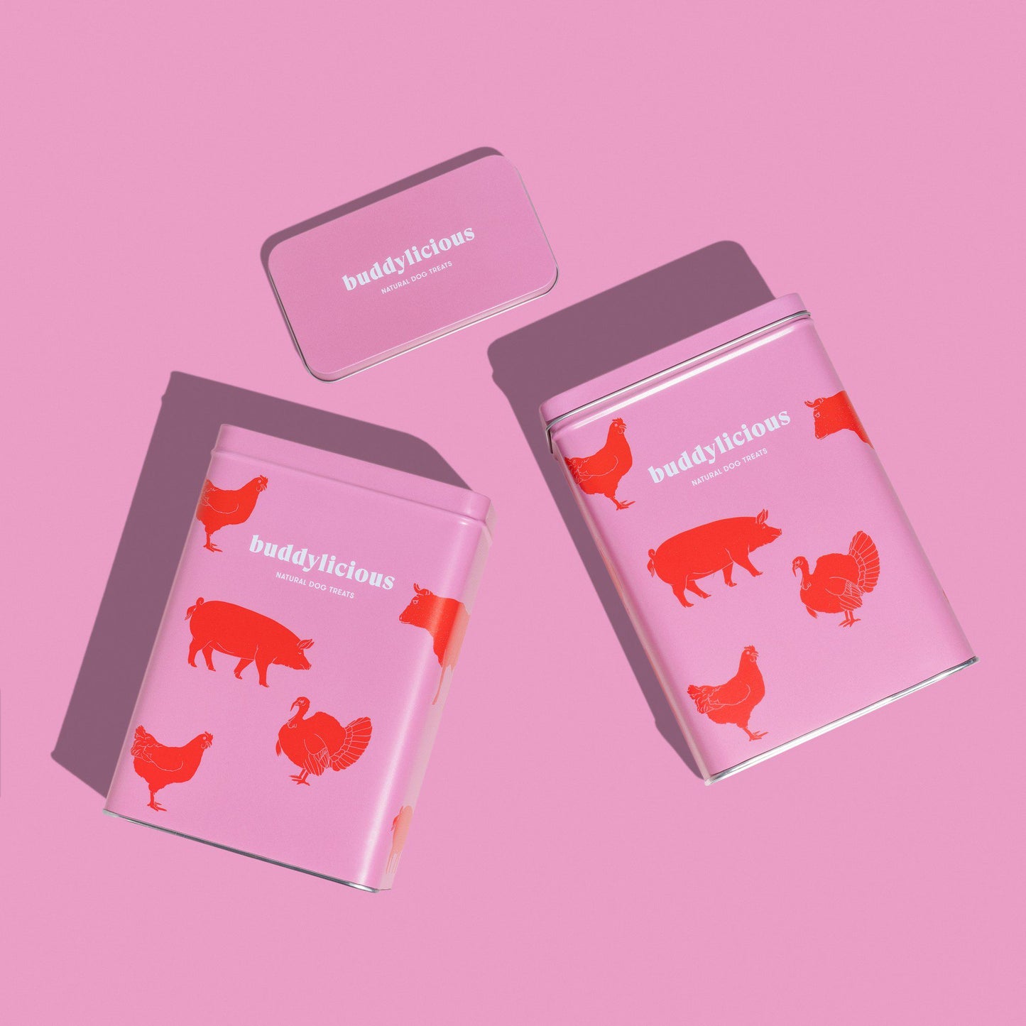 Dog Treats Gift Box - Farmyard Theme