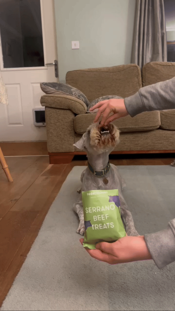 Treat and Train