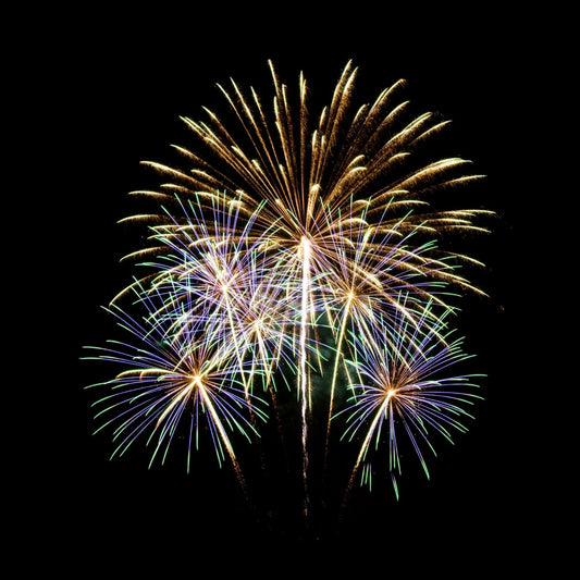 Calming Sticks for Firework Night: Natural Ways to Soothe Your Dog