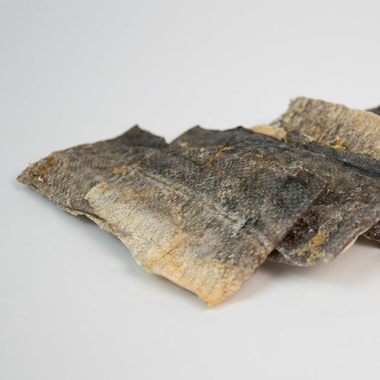 Natural vs. Processed: What’s Really in Your Dog’s Treats?