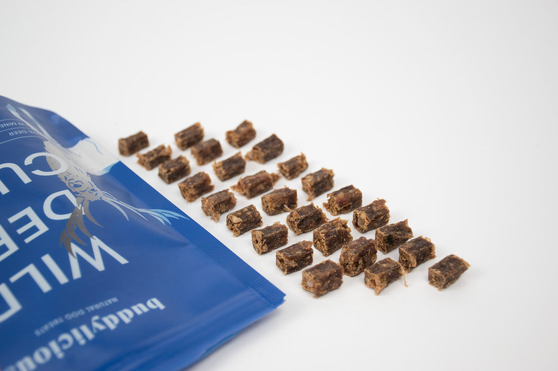 Best Venison Dog Treats: Why Deer Cubes Are Our Treat of the Month 🦌