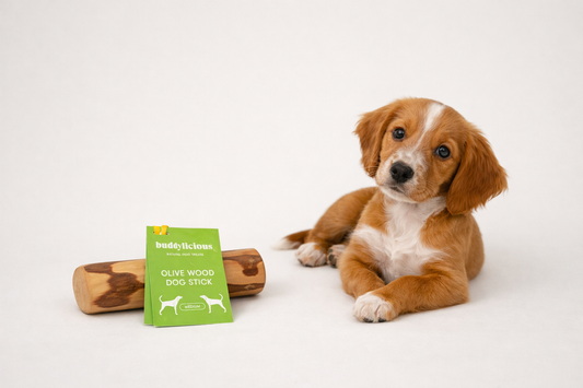 Best Natural Puppy Treats & Puppy Starter Bundle | Healthy Puppy Training Treats for Every New Puppy