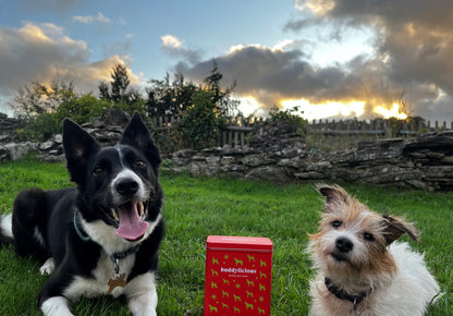 Christmas Advent Bundle