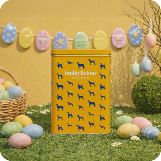 Easter Dog Treats Gift Box