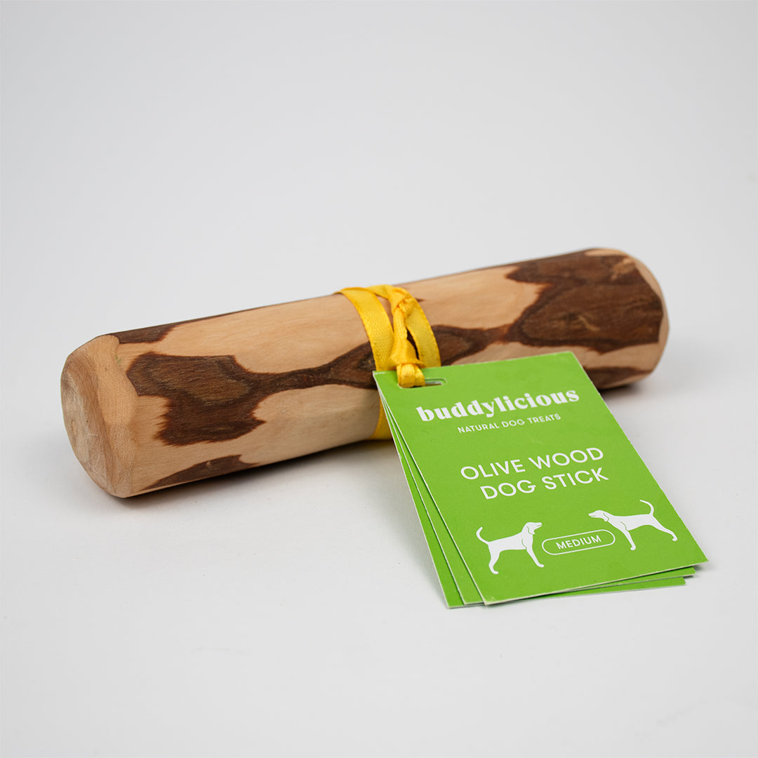 Christmas Advent Bundle