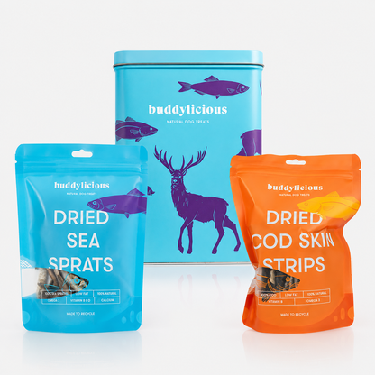Dog Treats Gift Box - Wild Animal Theme