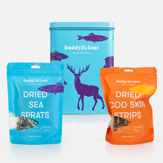 Dog Treats Gift Box - Wild Animal Theme