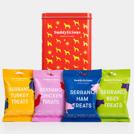 Dog Treats Gift Box - Red Theme