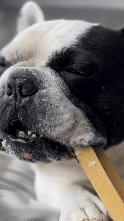 The Chewing Trilogy