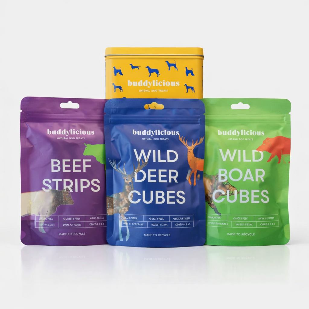 Dog Treats Gift Box - Dog Theme