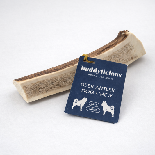 Deer Antler Chew Easy