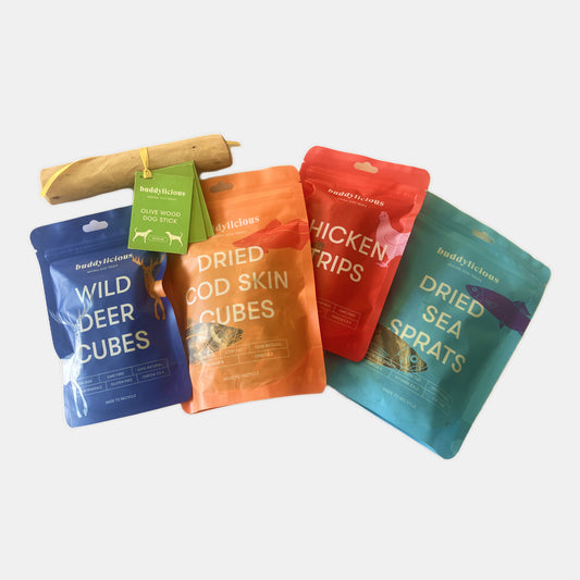 Summer Bundle