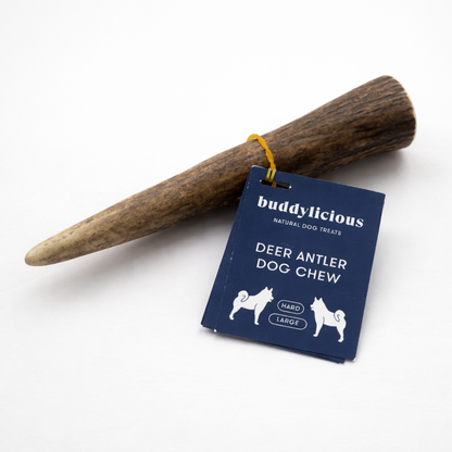 Deer Antler Chew Hard
