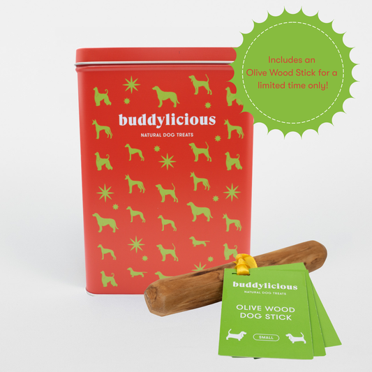 Christmas Advent Bundle