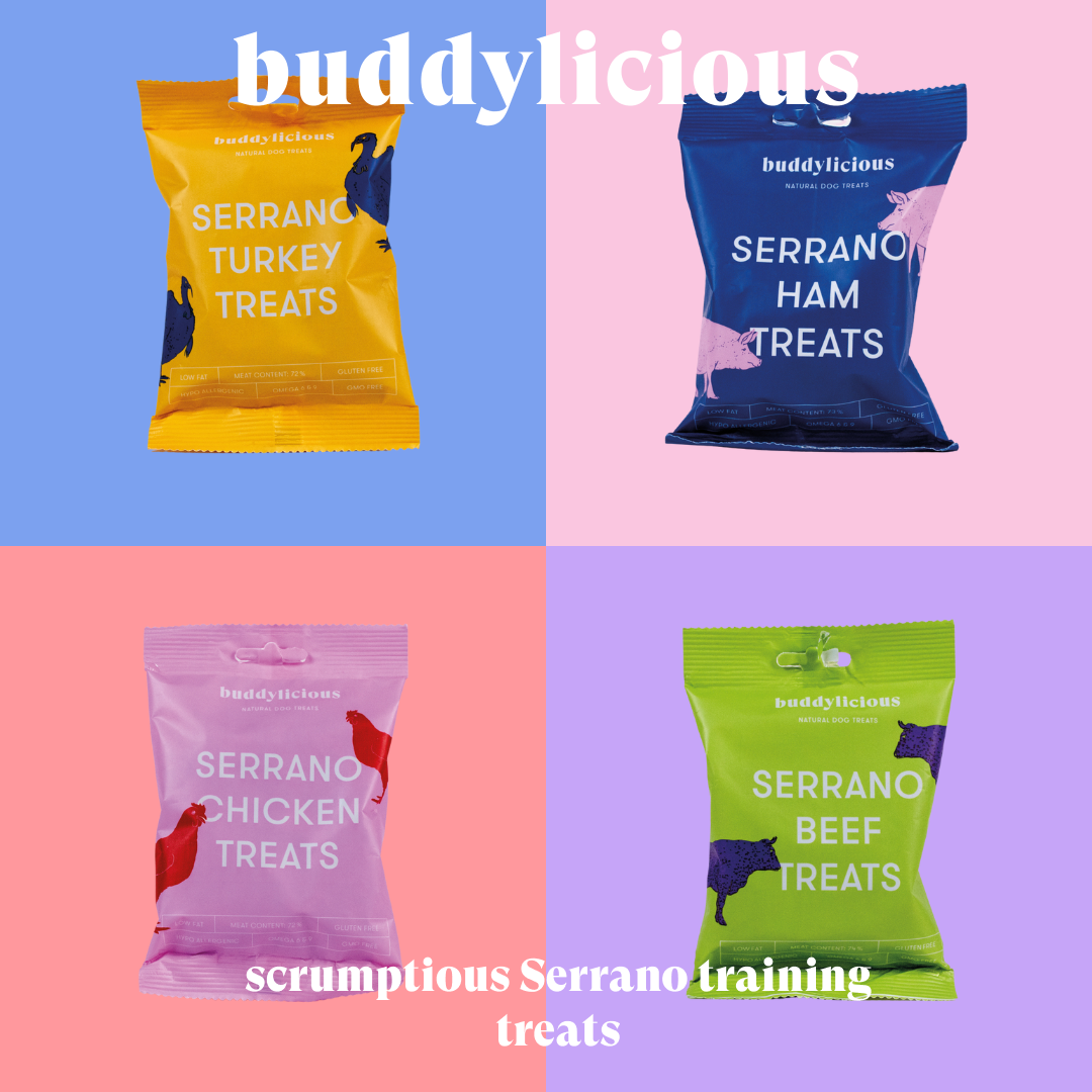 Serrano Beef Treats